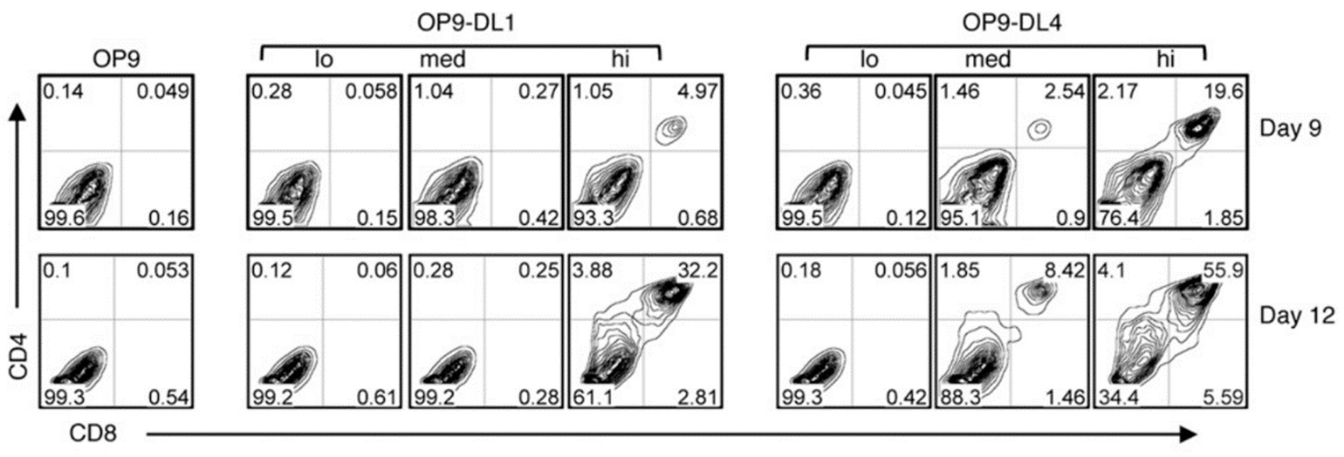 GMP-grade DLL4