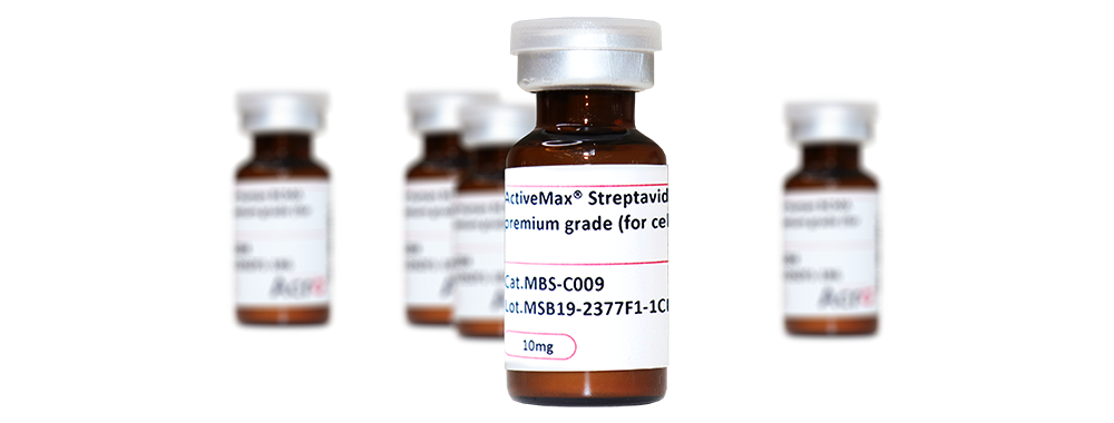 Streptavidin-coupled Magnetic Beads