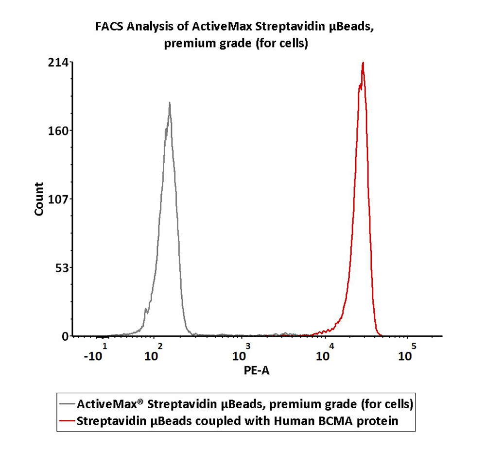 Streptavidin-coupled Magnetic Beads