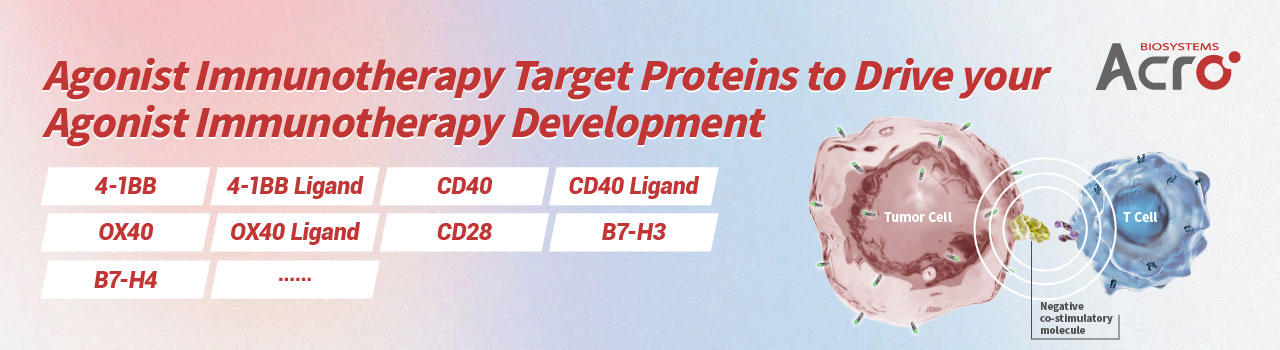 アゴニスト標的タンパク質が免疫療法開発を加速させる