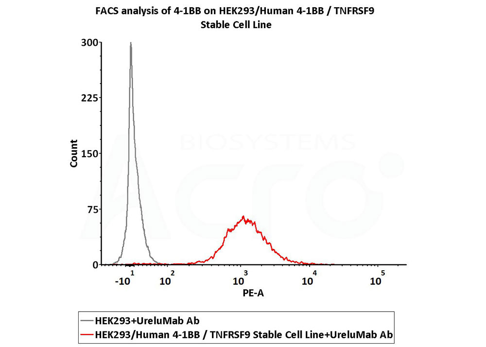 Validation of high bioactivity of binding with receptor or antibody