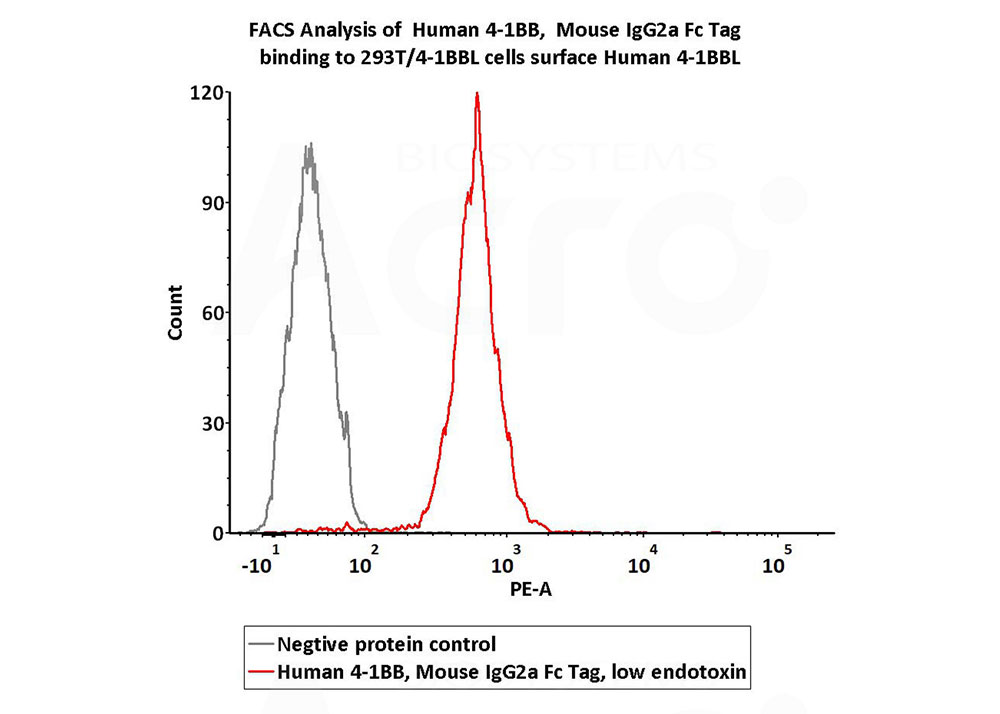 Cell functional activity verified by FACS and cell-based assay