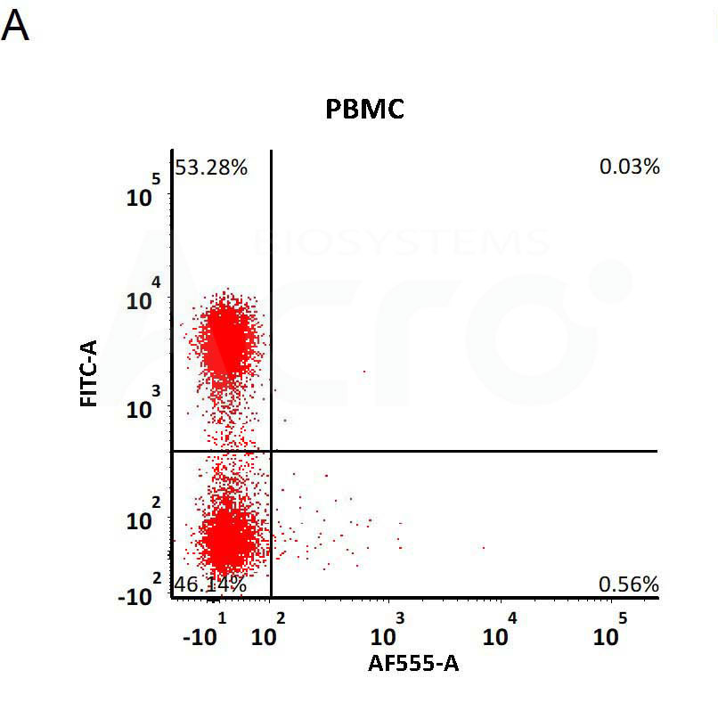 No non-specific binding to non-transduced PBMCs