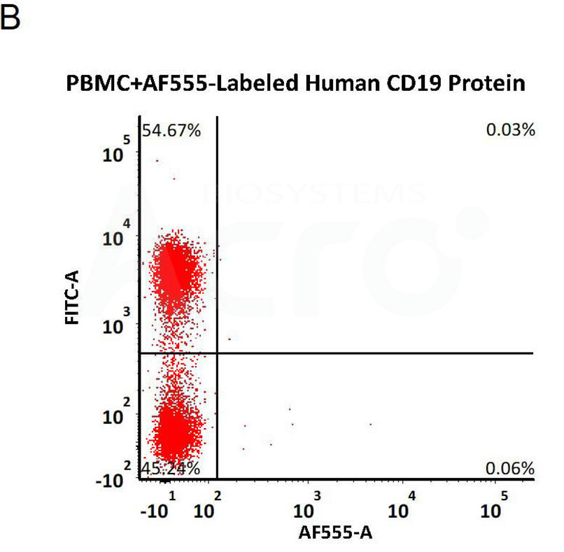 No non-specific binding to non-transduced PBMCs