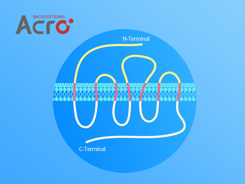 Schematic diagram of the classic GPCRs