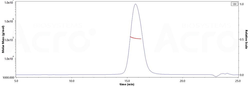 Glycoprotein H & Glycoprotein L/gH & gL (EBV)