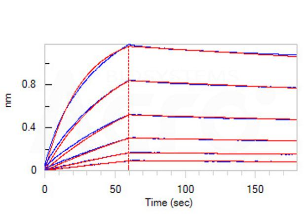 High purity and structural homogeneity verified by SDS-PAGE and SEC-MALS