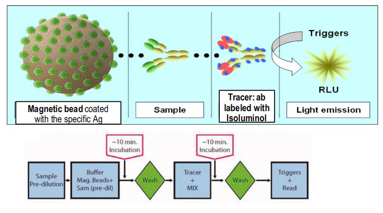 Chemiluminescence Detection Mechanism