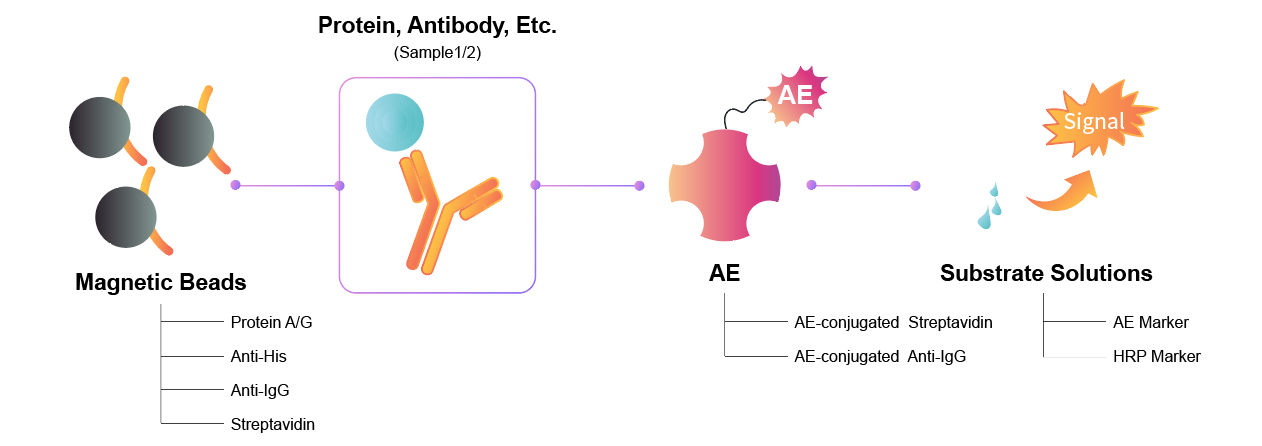 Developing Your MPCLIA Method