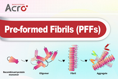 Pre-formed Fibrils (PFFs)