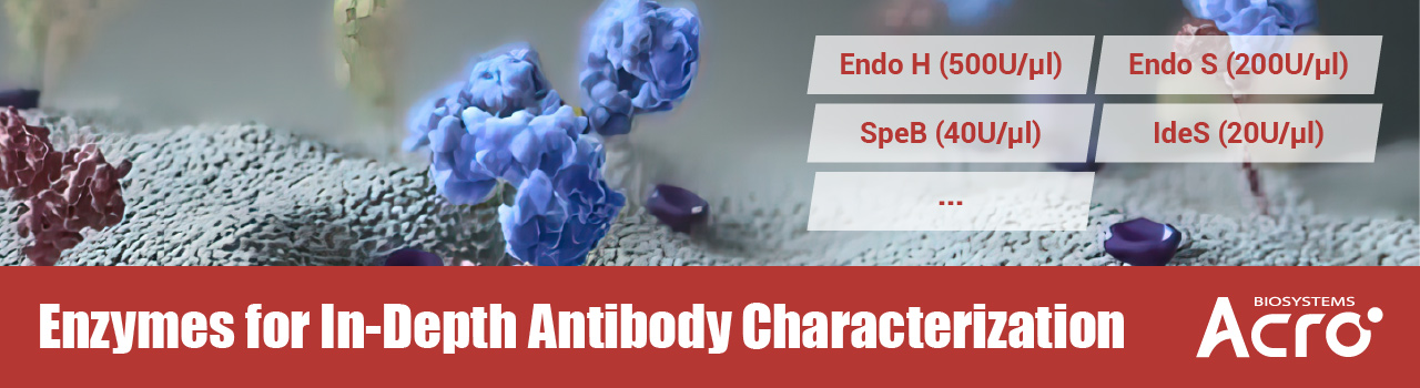 Enzymes for In-Depth Antibody Characterization