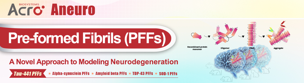 PFFs, A Novel Approach to Modeling Neurodegeneration