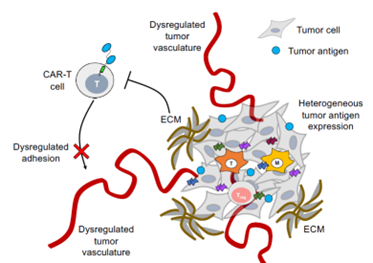 Nature reviews. Drug discovery vol. 20,7 (2021): 531-550.