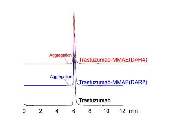 Less than 5% of antibody aggregation by SEC-HPLC 