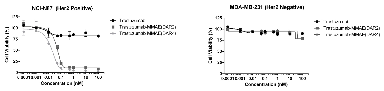 In-vitro cell-killing activity assay 