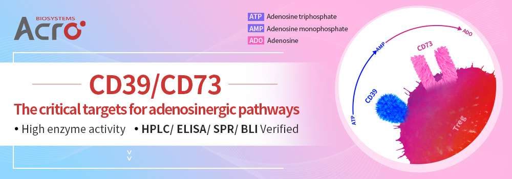 CD39/CD73: the critical targets for adenosinergic pathways