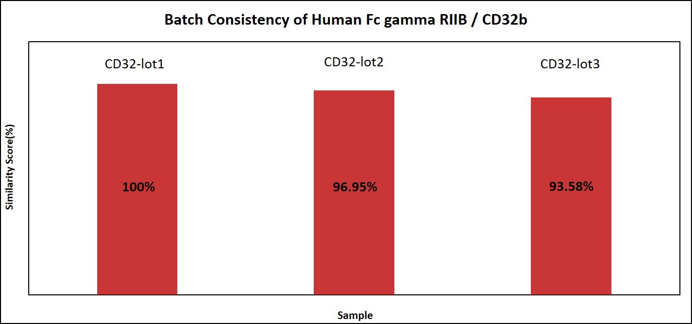 Fc receptors-High batch to batch consistency