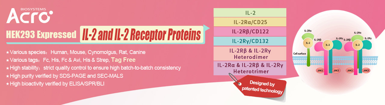 IL-2 and IL-2 Receptor Proteins