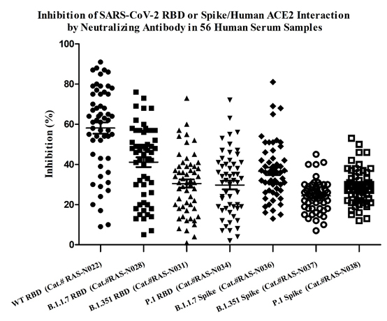 Anti-SARS-CoV-2 Variant Neutralizing Antibody Titer Serologic Assay Kit