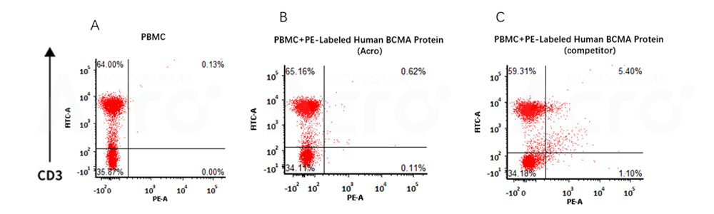 BCMA-PBMC  verified by FACS