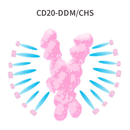 CD20