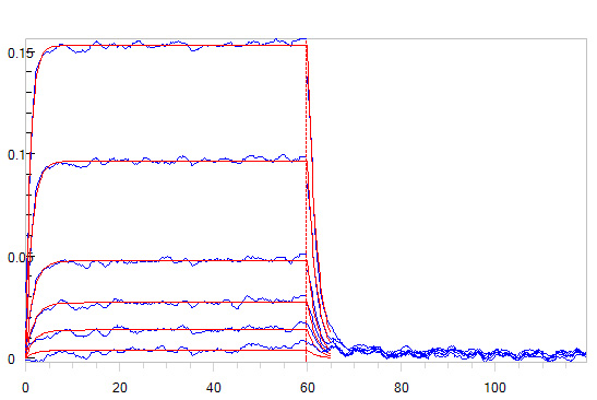 Human_FcRn_Heterodimer_Protein_Bli