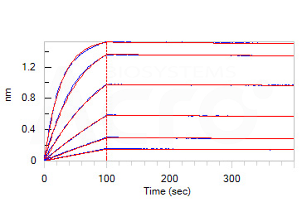 Human_FcRn_Heterodimer_Protein_Bli