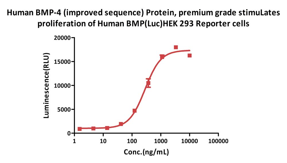  BMP-4 CELL