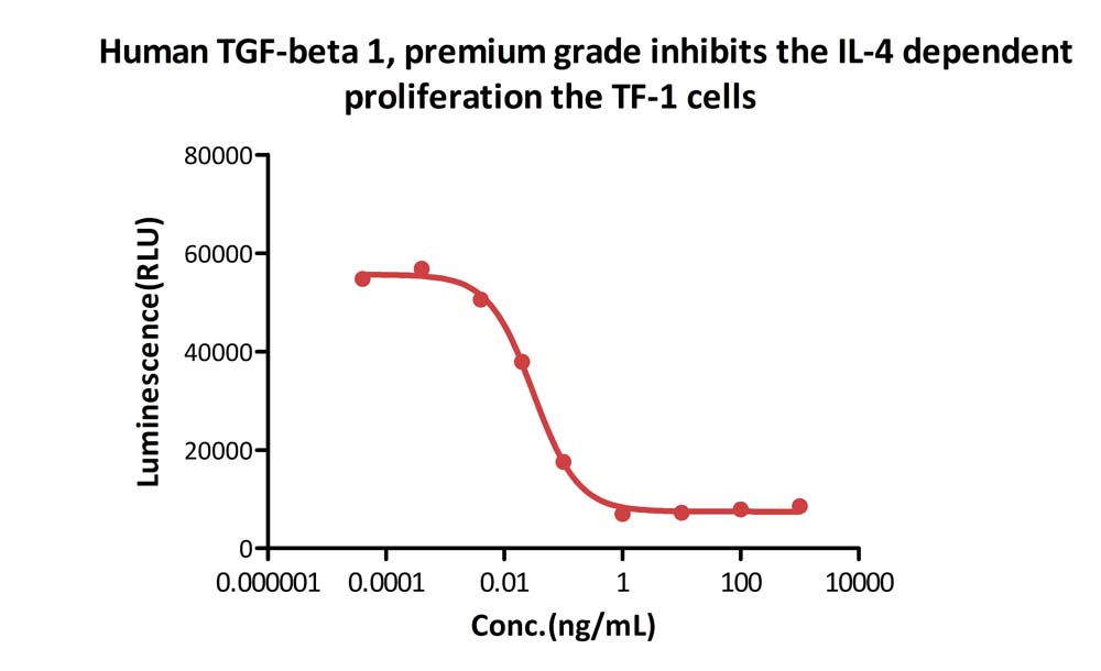  TGF-beta 1 CELL