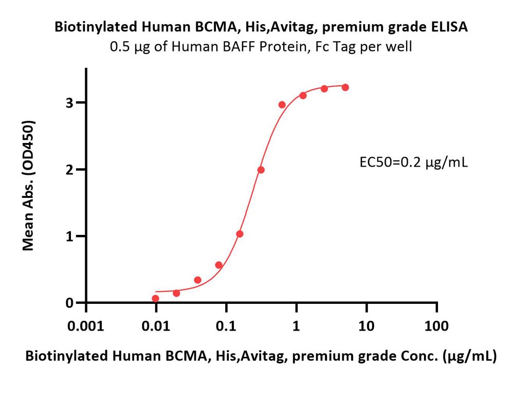  BCMA ELISA