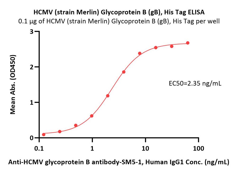  Glycoprotein B / gB ELISA