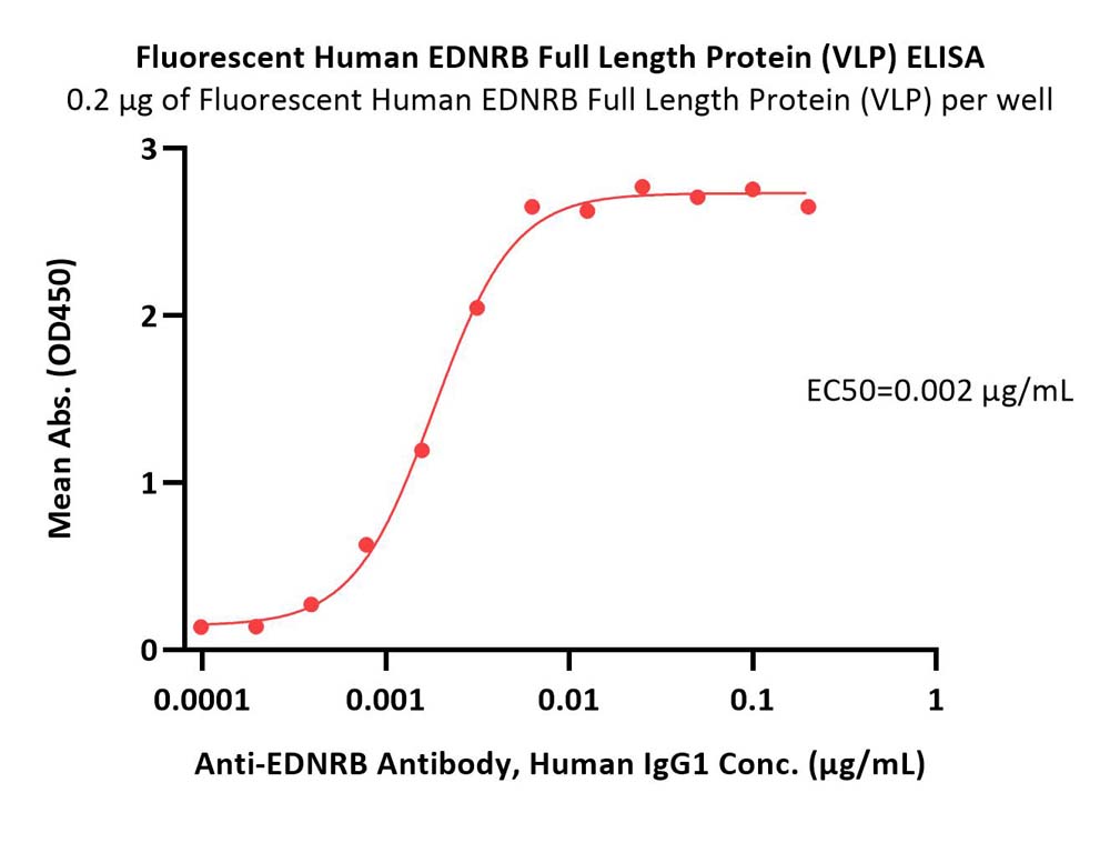  EDNRB ELISA