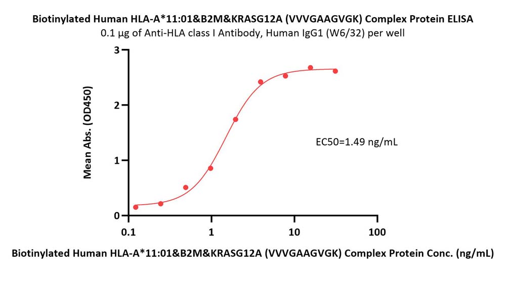  HLA-A*1101 & B2M & KRASG12A (VVVGAAGVGK) ELISA