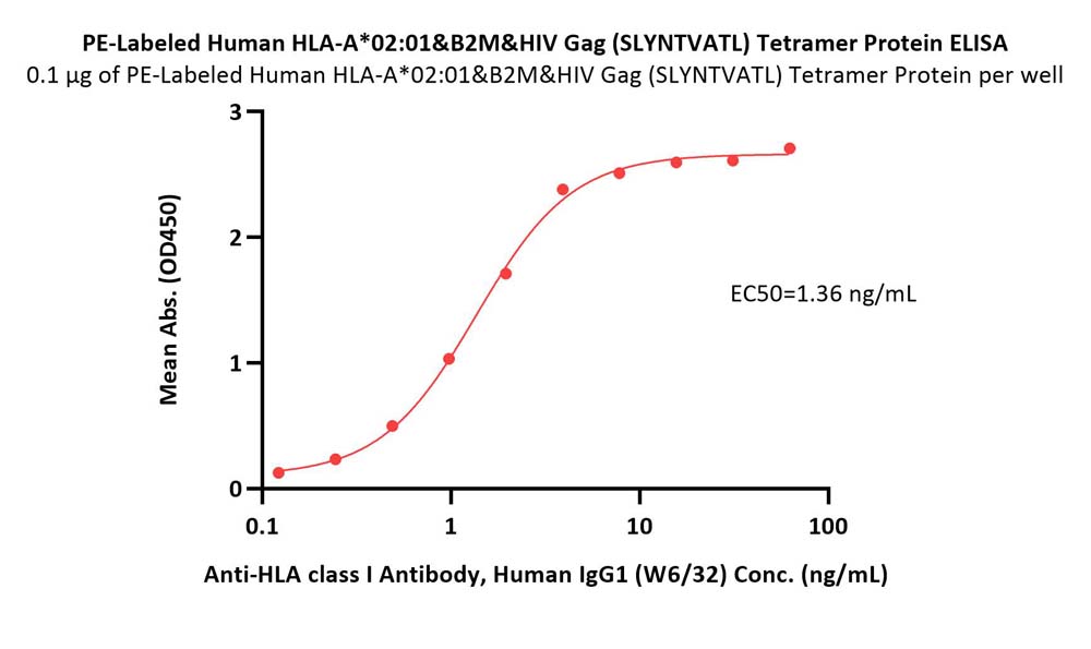  HLA-A*0201 & B2M & HIV Gag (SLYNTVATL) ELISA