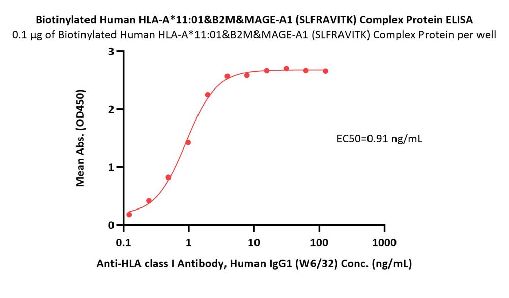  HLA-A*1101 & B2M & MAGE-A1 (SLFRAVITK) ELISA