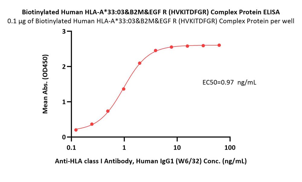  HLA-A*3303 & B2M & EGF R(HVKITDFGR) ELISA