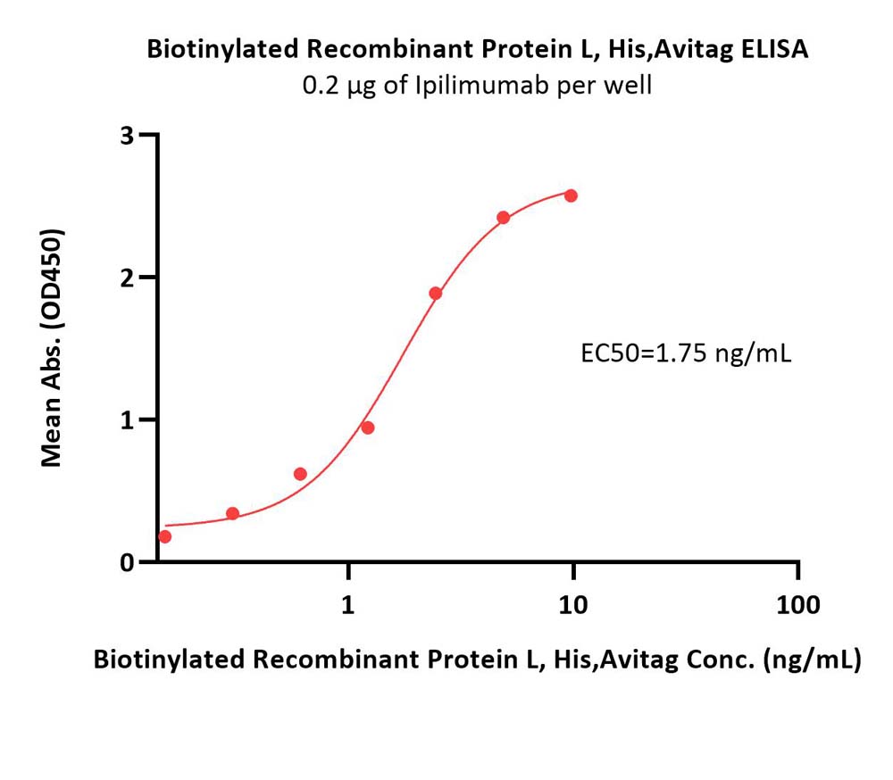  Protein L ELISA