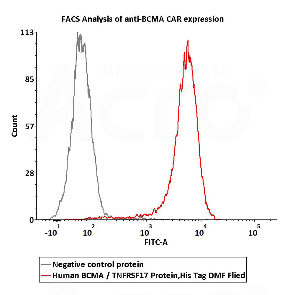  BCMA FACS