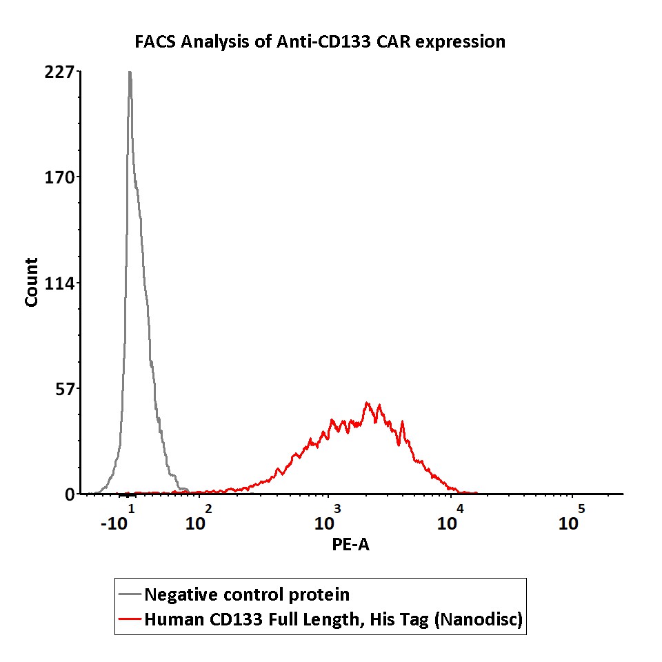  CD133 FACS