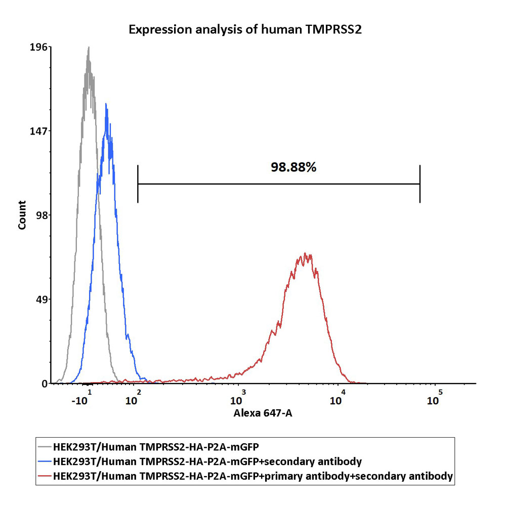  TMPRSS2 FACS