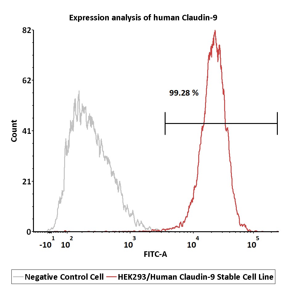  Claudin-9 FACS