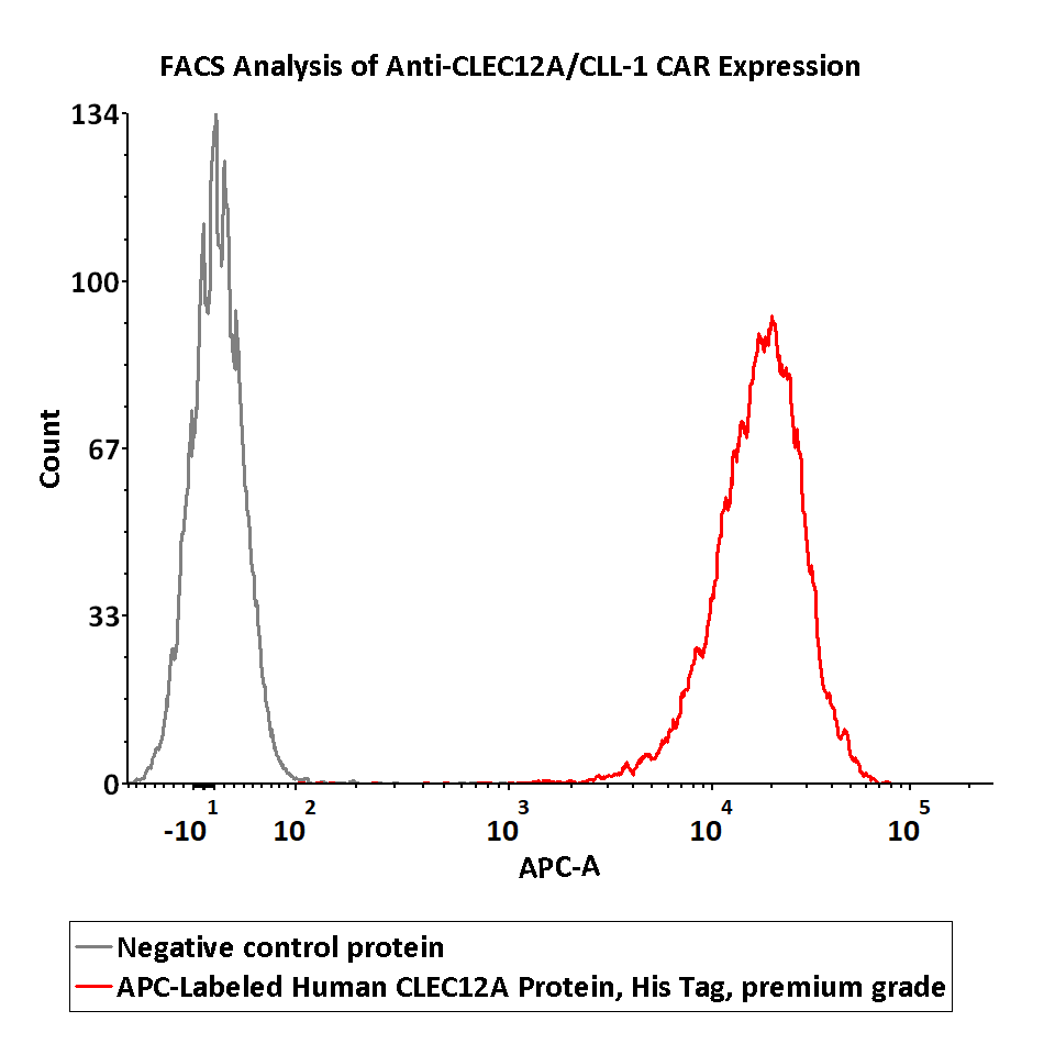  CLEC12A FACS