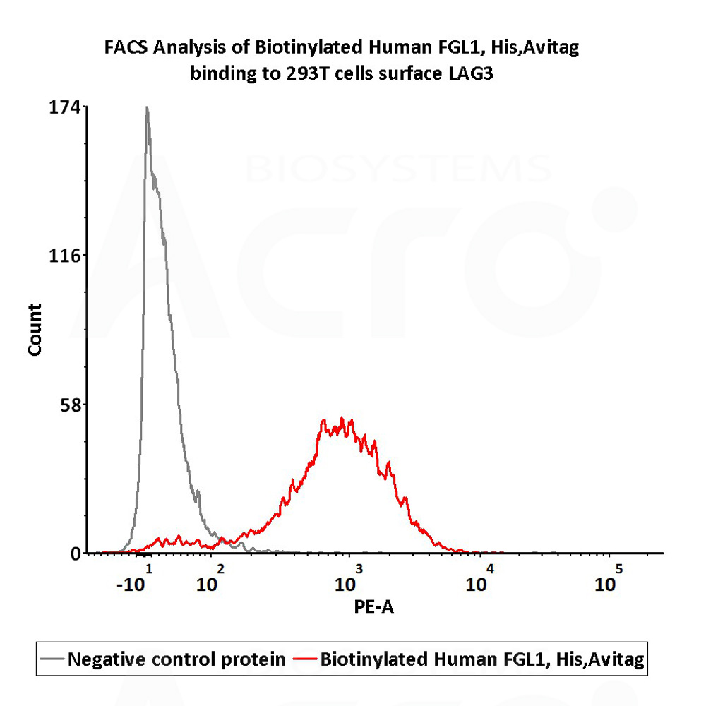  FGL1 FACS