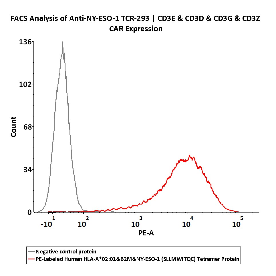  HLA-A*0201 | B2M | NY-ESO-1 FACS