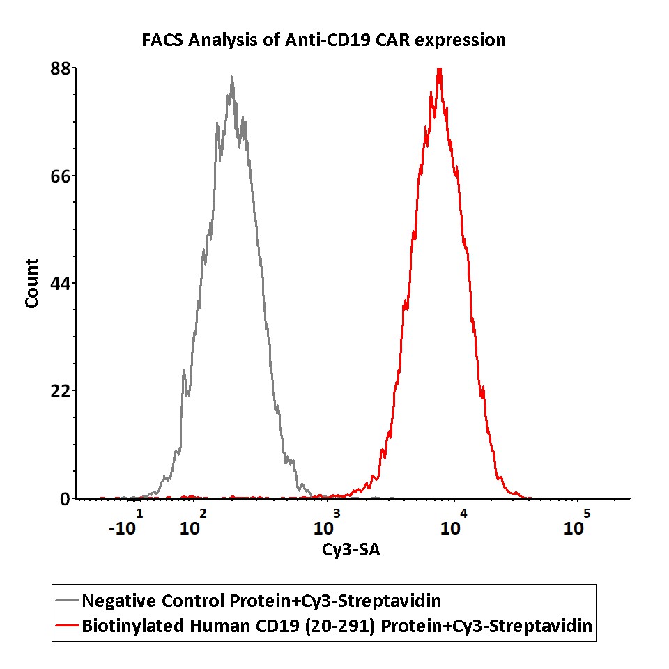  Streptavidin FACS