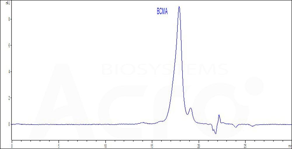 BCA-H522y-hplc