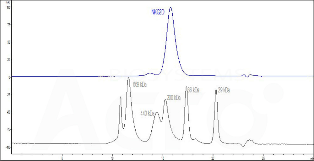 NKG2D SEC-HPLC