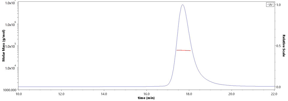 Catenin beta-1 MALS images