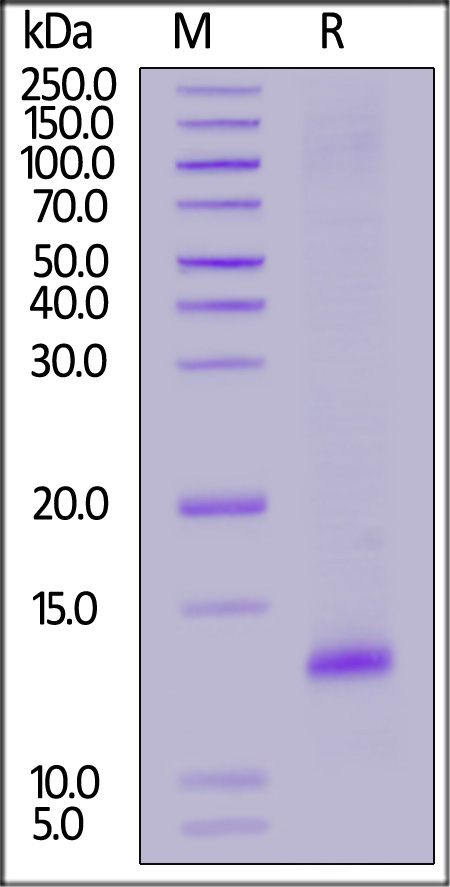 41B-H52H9-sds