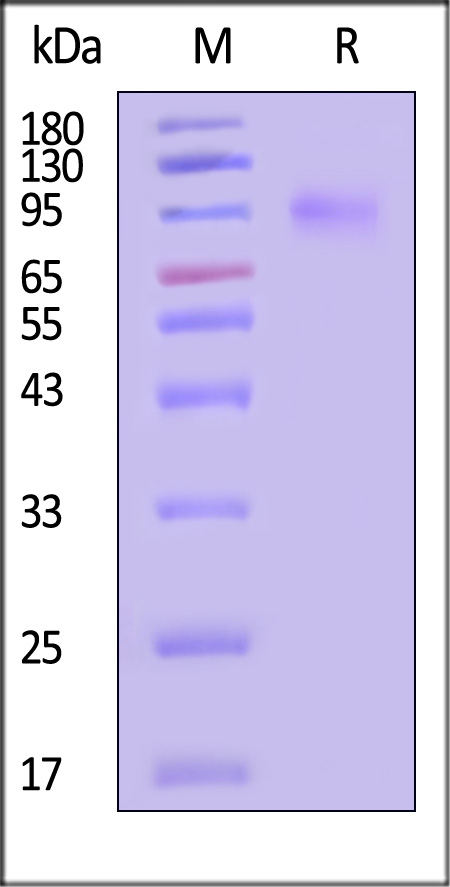 A3R-M5283-sds